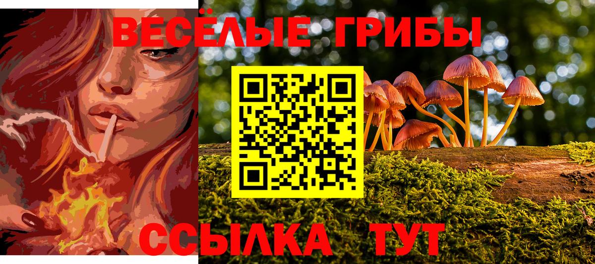 Белорецк  Псилоцибиновые грибы GOLDEN TEACHER  Вход с VPN 